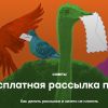 Платформа UniSender - лучший сервис бесплатной рассылки СМС и е-майл (иллюстрация 1) иллюстрация 1