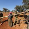 Армия Турции и боевики атаковали позиции сирийских военных (Армия Турции и боевики атаковали позиции сирийских военных) Армия Турции и боеви…