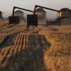 Есть ли у России продовольственная безопасность