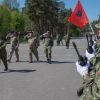 Коронавирус делает НАТО небоеспособным