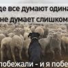 Базовый сценарий глобалистов - 'крякнул' (иллюстрация 1) иллюстрация 1