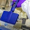 Как в США с помощью ученых Китая создали коронавирус SARS без защиты (Университет Северной Каролины. Иллюстрация: unc.edu.) Университет Северной…