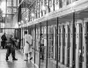 Коронавирус обнажает правду про американский ГУЛАГ (Американские тюрьмы могут стать новым рассадником вируса) Американские тюрьмы …