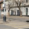 Кто круче? Кто жёстче? Запреты на передвижения