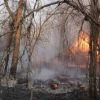 Пожары в зоне ЧАЭС: причины и вопросы (Пожары в зоне ЧАЭС: причины и вопросы) Пожары в зоне ЧАЭС: …