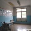 'Государство само организовало катастрофу' (иллюстрация 1) иллюстрация 1
