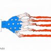 National Interest: сдайте Крым, покайтесь за Трампа, и санкции с РФ снимут (иллюстрация 1) иллюстрация 1