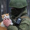 Почему не 'мочат' армию