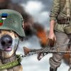 Прибалтийский нацизм, или Академия мракобесия (Прибалтийский нацизм, или Академия мракобесия) Прибалтийский нацизм…