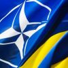 Поматросят и бросят: Вассерман об Украине в НАТО (Фото: poroshenko/Twitter.com/Global Look Press) Фото: poroshenko/Twi…