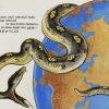 О новой Холодной Войне (иллюстрация1 1) иллюстрация1 1