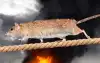 Время крыс. Мобилизация вместо договорняка вызвала новую волну бегства 'либералов' из России (Крысы бегут) Крысы бегут
