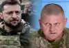 Пауки в банке