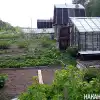 Дачная амнистия: идите в баню с такими налогами? (Фото: Накануне.RU) Фото: Накануне.RU