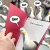 'Есть ли у вас план, мистер Фикс?', или Очередной план Зеленского