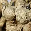 Львовский лэгинь: В схроны пойдем. На фронт – дурных нэма