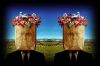 Европейская тоска (Я гляжу на это дело в европейской тоске) Я гляжу на это дело …