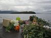 Трагедия в Осло. Национализм=фашизм=терроризм (Теракт в Норвегии. Память) Теракт в Норвегии. Память