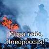 Тема Новороссии в русской литературе.