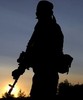Bild: ДНР и ЛНР так зависят от России, что превратились в ее колонии