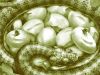 Глобализация и предательство элит. Они живут, 'под собою не чуя страны' (рождение гадов) рождение гадов