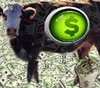 Почему в Германии гибнет скот и закрываются фермы?