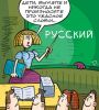 Та любов пройшло – зав'яли помідори