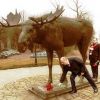 День Народного Единства в праздник Великого Октября